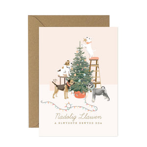 Festive Terrier Christmas Cards Welsh